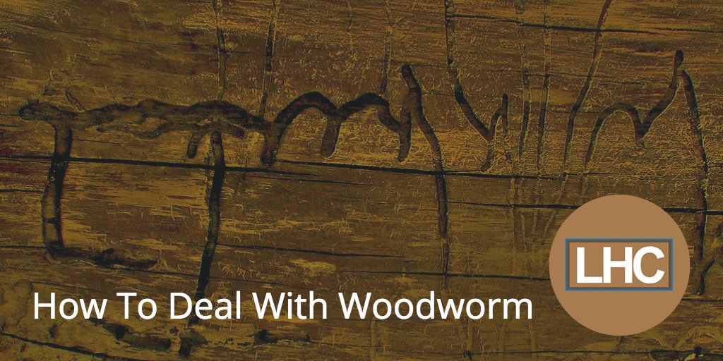 How to deal with woodworm