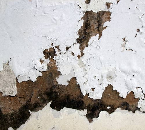 Specialist Damp Proofing Services, London, Surrey, Essex, Berkshire, Buckinghamshire, Hertfordshire, Sussex